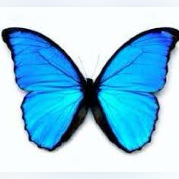 Other - LIKE THIS LISTING TO BE NOTIFIED WHEN I GO LIVE NEXT!!! Xoxo